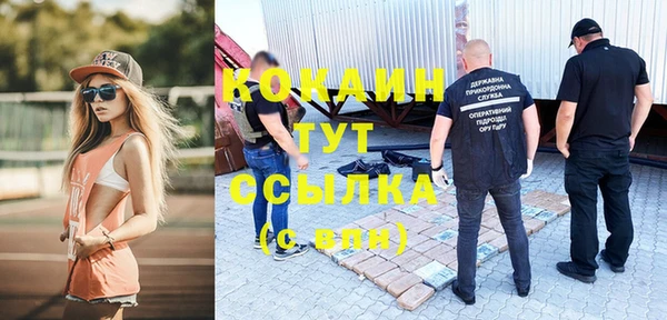 тгк Богородицк