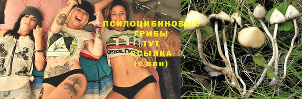 тгк Богородицк