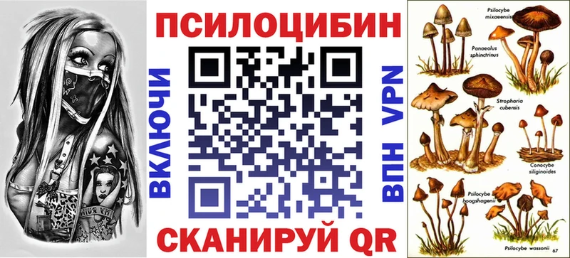 Псилоцибиновые грибы мицелий  Кораблино 